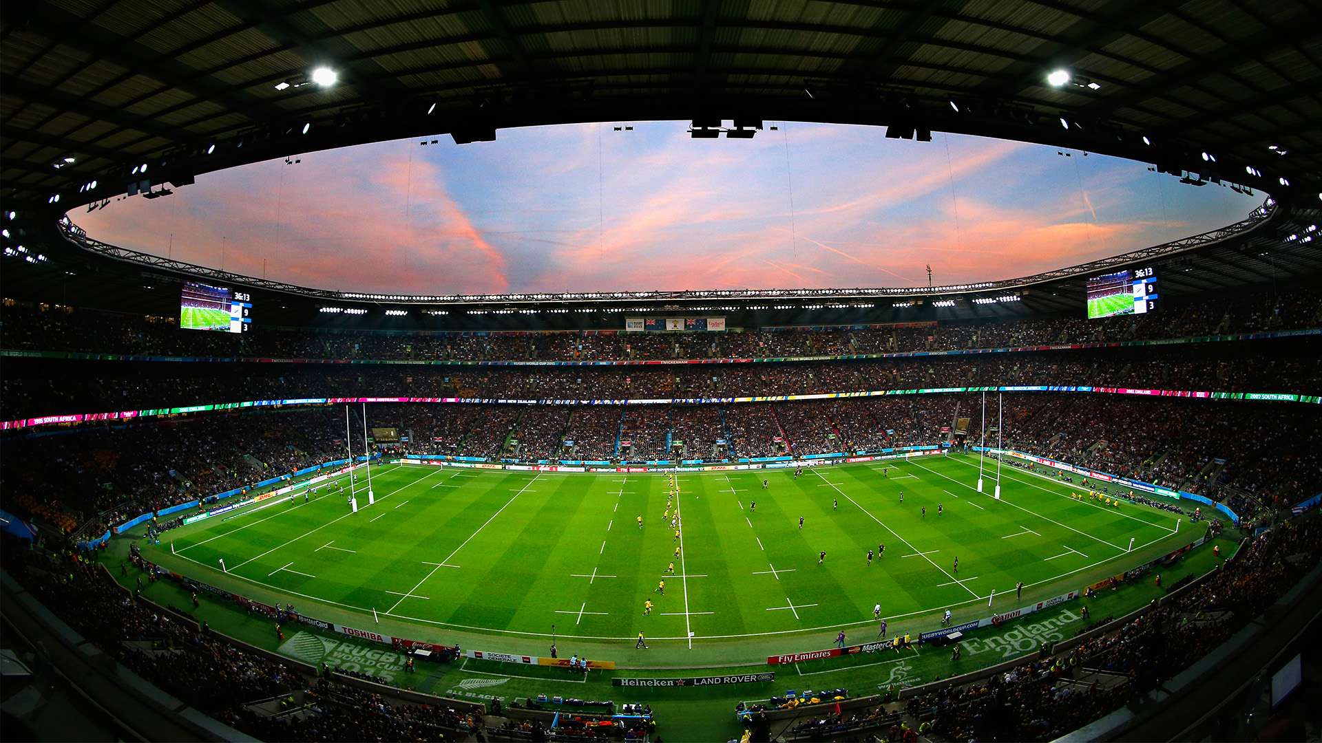 学校组织了 学校组织了